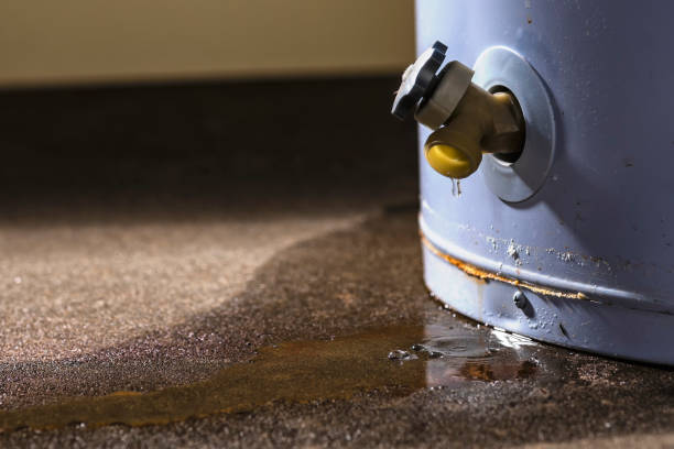 Best Emergency water damage restoration  in Roodhouse, IL