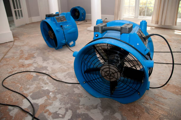 Best Flooded house restoration  in Roodhouse, IL