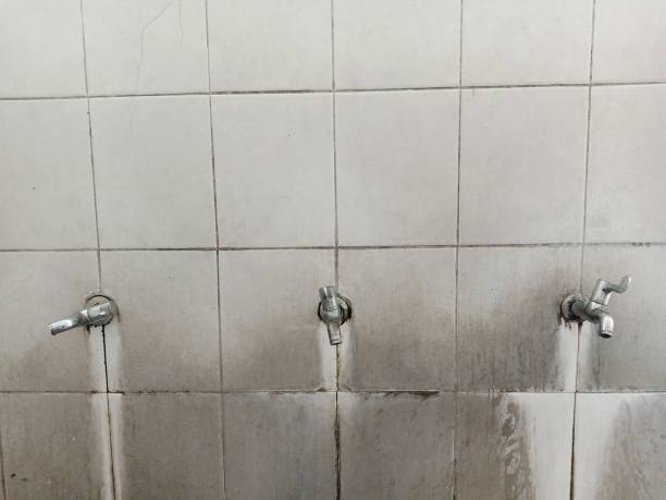 Best Water damage restoration near me  in Roodhouse, IL