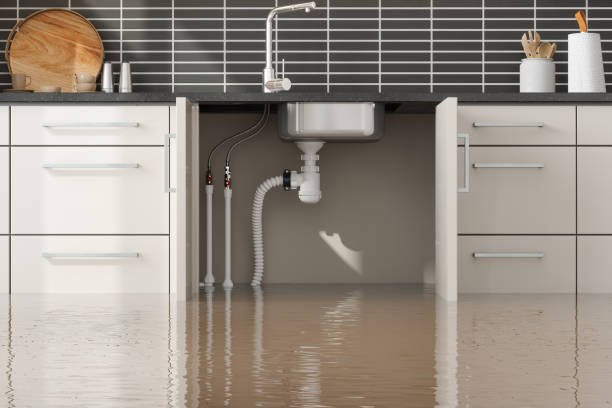 Best Ceiling water damage repair  in Roodhouse, IL