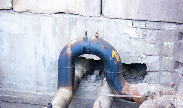 Best Flood restoration services  in Roodhouse, IL
