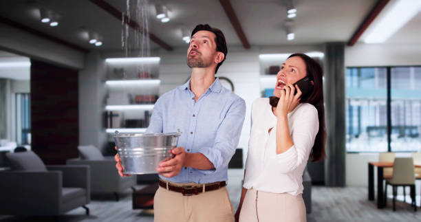 Best Water damage cleanup near me  in Roodhouse, IL
