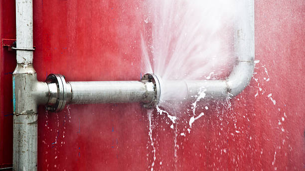 Best Water damage contractors near me  in Roodhouse, IL